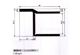Einfassprofil 30.5 x 60 mit Rand elox. ( Rückladen ) L =6500mm